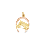 Horse in Horseshoe Charm in 14k