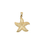 Starfish in 14k