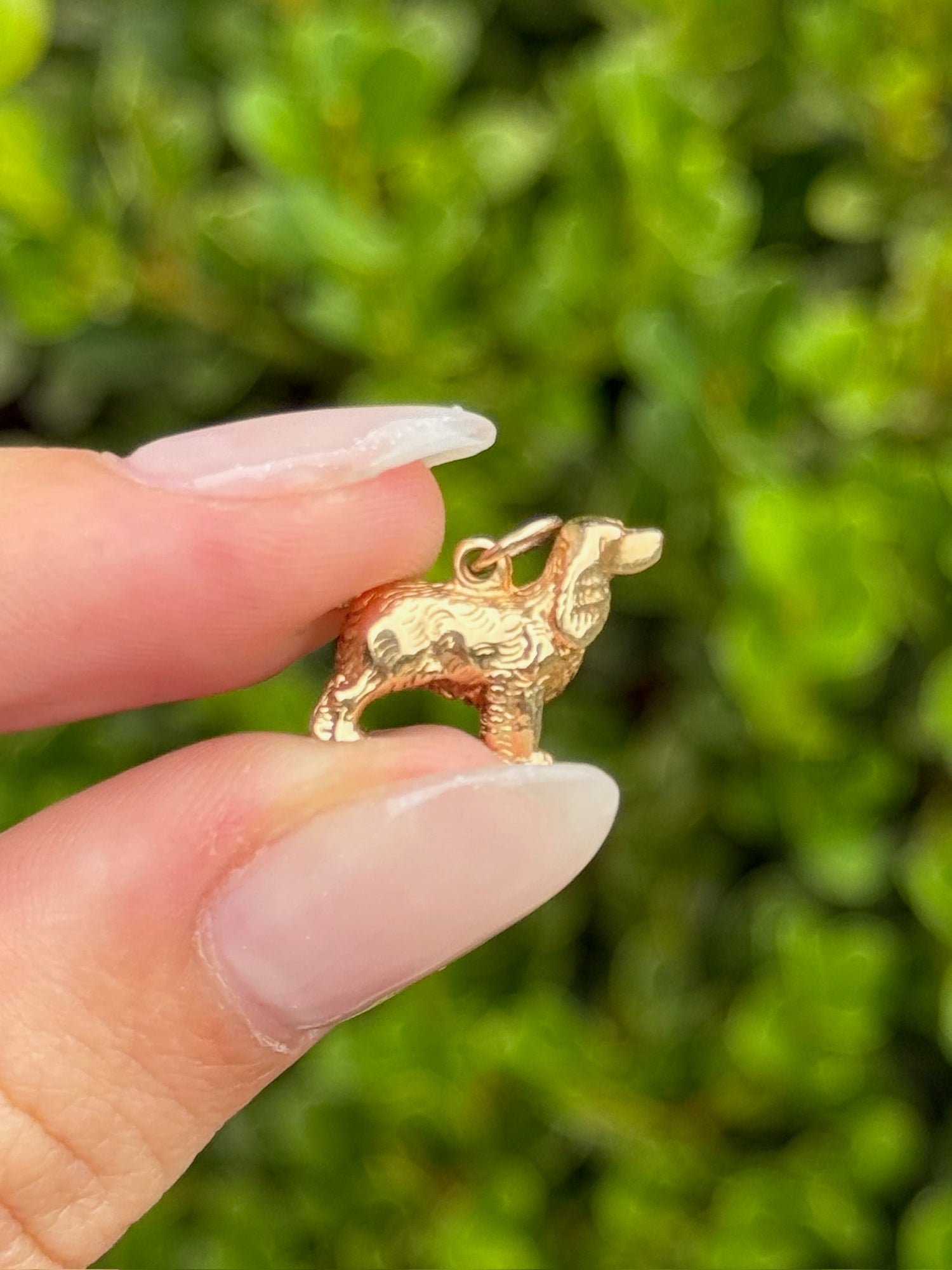 Vintage Labrador Charm in 14K