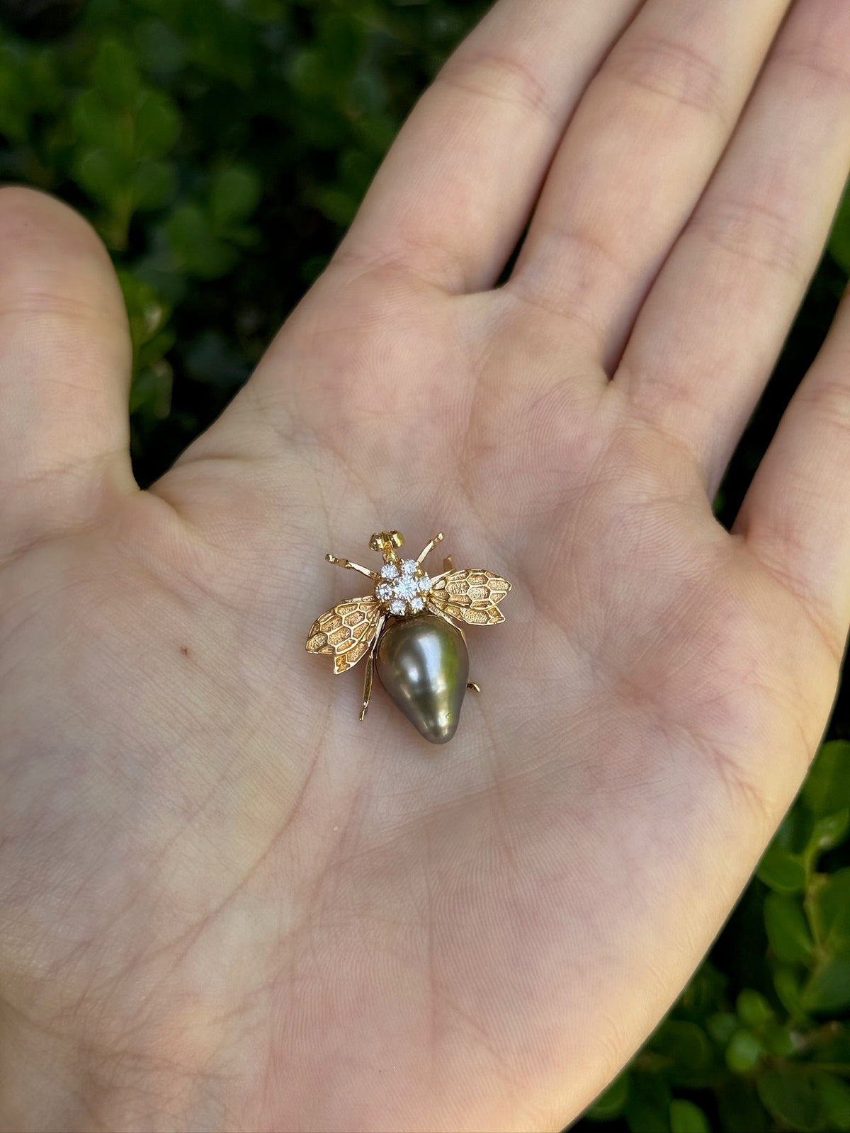 Bee Brooch with Tahitian Pearl in 14K