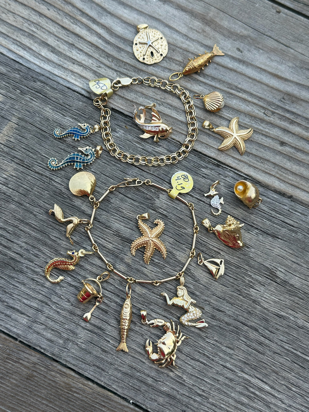Seashell with Pearl in 14k