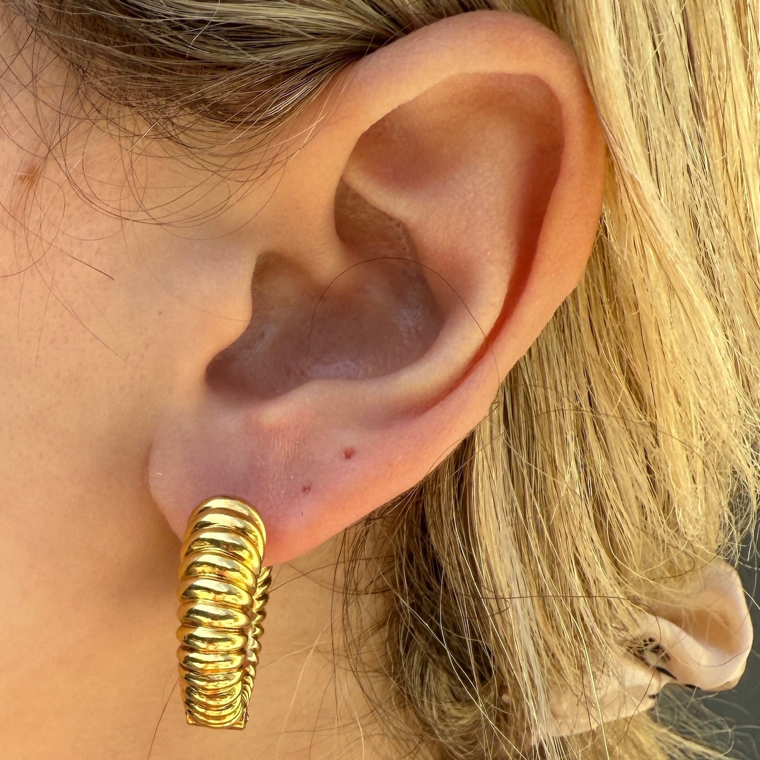 Circular Shrimp Clip On Earrings in 18K