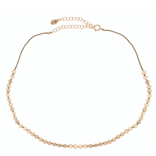 Load image into Gallery viewer, Fleck Necklace
